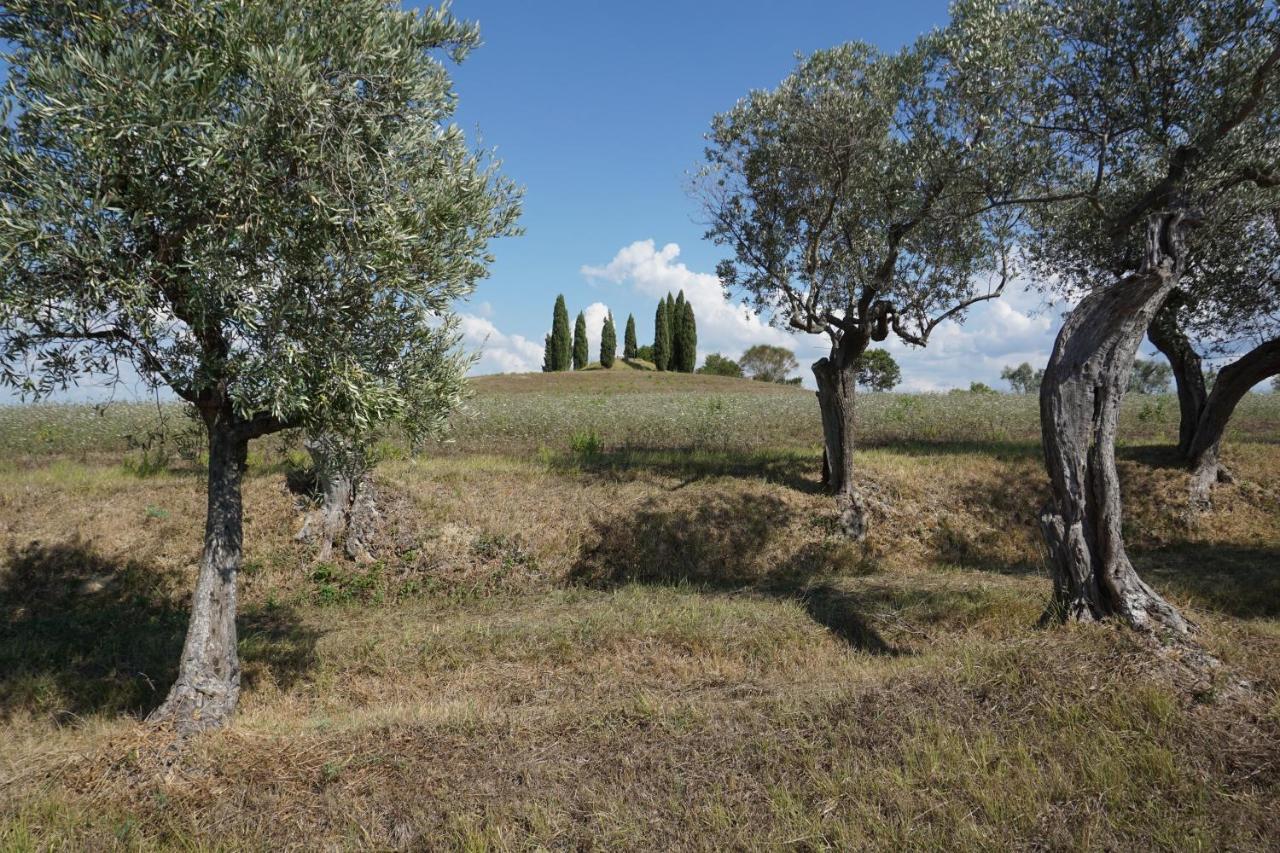 Agriturismo Cheloni Guasticce 외부 사진