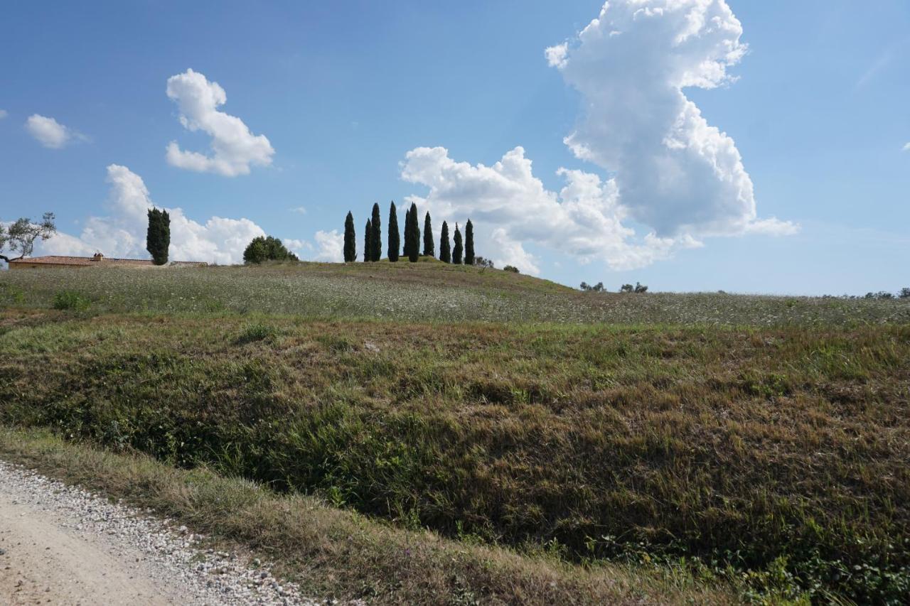 Agriturismo Cheloni Guasticce 외부 사진