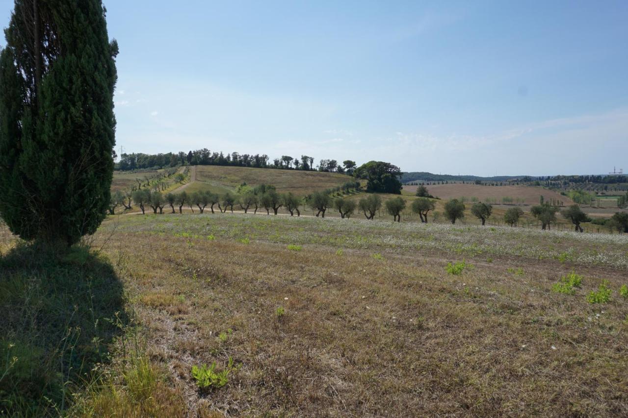 Agriturismo Cheloni Guasticce 외부 사진
