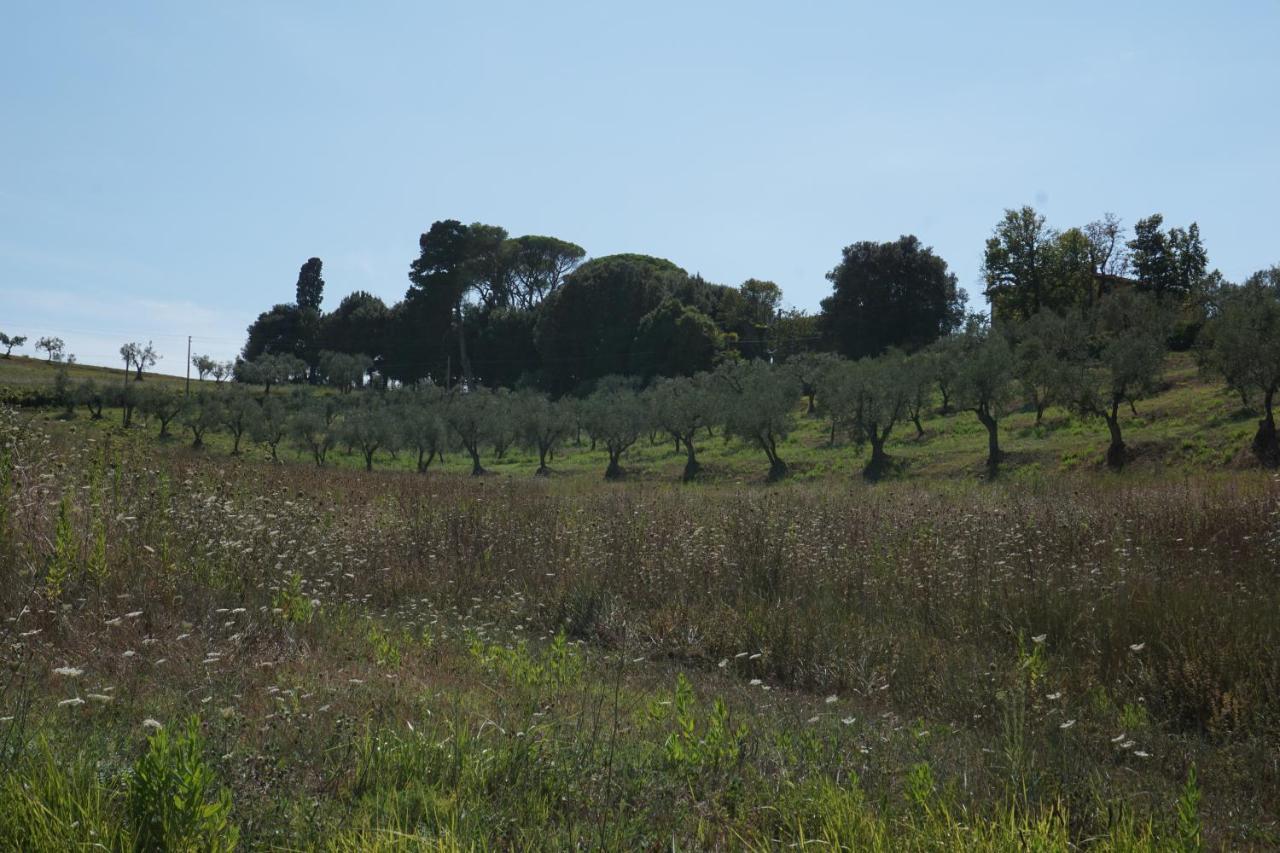 Agriturismo Cheloni Guasticce 외부 사진